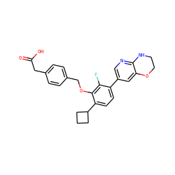 O=C(O)Cc1ccc(COc2c(C3CCC3)ccc(-c3cnc4c(c3)OCCN4)c2F)cc1 ZINC000212135181
