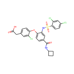 O=C(O)Cc1ccc(Oc2ccc(C(=O)NC3CCC3)cc2NS(=O)(=O)c2ccc(Cl)cc2Cl)c(Cl)c1 ZINC000073258503