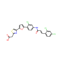 O=C(O)Cc1nc(-c2ccc(-c3ccc(NC(=O)/C=C/c4ccc(Cl)cc4Cl)cc3Cl)o2)cs1 ZINC000003938332