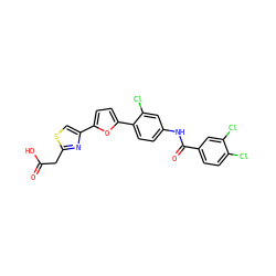 O=C(O)Cc1nc(-c2ccc(-c3ccc(NC(=O)c4ccc(Cl)c(Cl)c4)cc3Cl)o2)cs1 ZINC000003938342