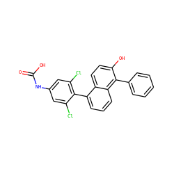 O=C(O)Nc1cc(Cl)c(-c2cccc3c(-c4ccccc4)c(O)ccc23)c(Cl)c1 ZINC000028524627