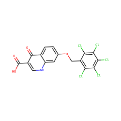 O=C(O)c1c[nH]c2cc(OCc3c(Cl)c(Cl)c(Cl)c(Cl)c3Cl)ccc2c1=O ZINC000027714833