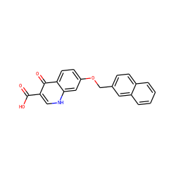 O=C(O)c1c[nH]c2cc(OCc3ccc4ccccc4c3)ccc2c1=O ZINC000027718654