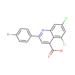 O=C(O)c1cc(-c2ccc(Br)cc2)nc2cc(Cl)cc(Cl)c12 ZINC000027620879