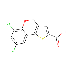 O=C(O)c1cc2c(s1)-c1cc(Cl)cc(Cl)c1OC2 ZINC000584639482