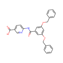 O=C(O)c1ccc(NC(=O)c2cc(OCc3ccccc3)cc(OCc3ccccc3)c2)nc1 ZINC000001491267