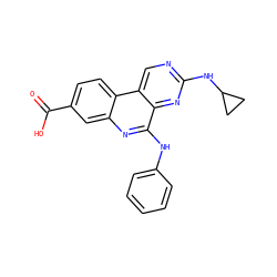 O=C(O)c1ccc2c(c1)nc(Nc1ccccc1)c1nc(NC3CC3)ncc12 ZINC000066112984