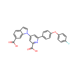 O=C(O)c1ccc2ccn(-c3cc(C(=O)O)nc(-c4ccc(Oc5ccc(F)cc5)cc4)c3)c2c1 ZINC000114627536