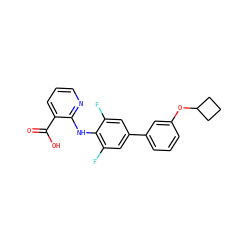 O=C(O)c1cccnc1Nc1c(F)cc(-c2cccc(OC3CCC3)c2)cc1F ZINC000103278708