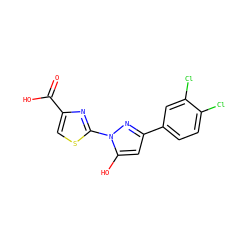 O=C(O)c1csc(-n2nc(-c3ccc(Cl)c(Cl)c3)cc2O)n1 ZINC001772586149