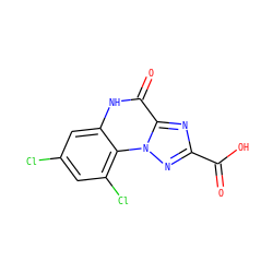 O=C(O)c1nc2c(=O)[nH]c3cc(Cl)cc(Cl)c3n2n1 ZINC000013798625