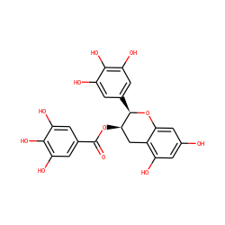 O=C(O[C@@H]1Cc2c(O)cc(O)cc2O[C@@H]1c1cc(O)c(O)c(O)c1)c1cc(O)c(O)c(O)c1 ZINC000003870412