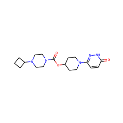 O=C(OC1CCN(c2ccc(=O)[nH]n2)CC1)N1CCN(C2CCC2)CC1 ZINC000206786162