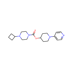 O=C(OC1CCN(c2ccncc2)CC1)N1CCN(C2CCC2)CC1 ZINC000223532288