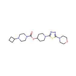 O=C(OC1CCN(c2nnc(N3CCOCC3)s2)CC1)N1CCN(C2CCC2)CC1 ZINC000223518453