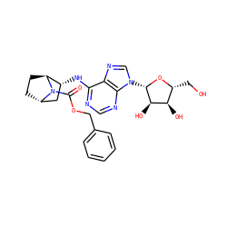 O=C(OCc1ccccc1)N1[C@H]2CC[C@H]1[C@H](Nc1ncnc3c1ncn3[C@@H]1O[C@H](CO)[C@@H](O)[C@H]1O)C2 ZINC000101107606