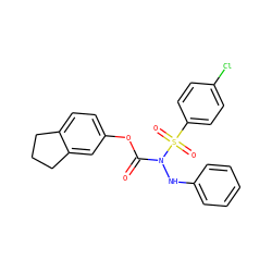O=C(Oc1ccc2c(c1)CCC2)N(Nc1ccccc1)S(=O)(=O)c1ccc(Cl)cc1 ZINC001772649235