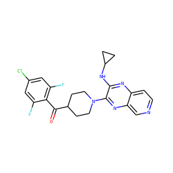 O=C(c1c(F)cc(Cl)cc1F)C1CCN(c2nc3cnccc3nc2NC2CC2)CC1 ZINC000144383966