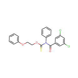 O=C(c1cc(Cl)cc(Cl)c1)N(C(=S)OCCOc1ccccc1)c1ccccc1 ZINC000027866976