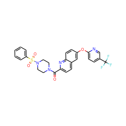 O=C(c1ccc2cc(Oc3ccc(C(F)(F)F)cn3)ccc2n1)N1CCN(S(=O)(=O)c2ccccc2)CC1 ZINC001772589982