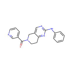 O=C(c1cccnc1)N1CCc2nc(Nc3ccccc3)ncc2C1 ZINC001772574475