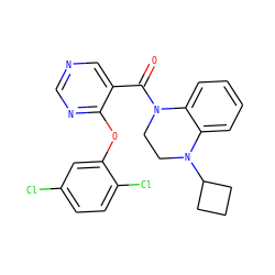 O=C(c1cncnc1Oc1cc(Cl)ccc1Cl)N1CCN(C2CCC2)c2ccccc21 ZINC000095578157