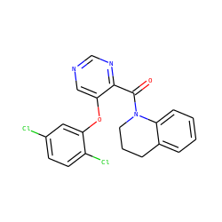 O=C(c1ncncc1Oc1cc(Cl)ccc1Cl)N1CCCc2ccccc21 ZINC000095575850