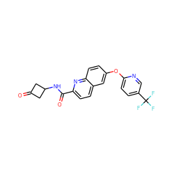 O=C1CC(NC(=O)c2ccc3cc(Oc4ccc(C(F)(F)F)cn4)ccc3n2)C1 ZINC001772577300
