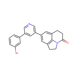 O=C1CCc2cc(-c3cncc(-c4cccc(O)c4)c3)cc3c2N1CC3 ZINC000071330385
