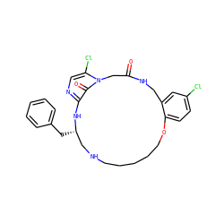 O=C1Cn2c(Cl)cnc(c2=O)N[C@@H](Cc2ccccc2)CNCCCCCOc2ccc(Cl)cc2CN1 ZINC000026666510