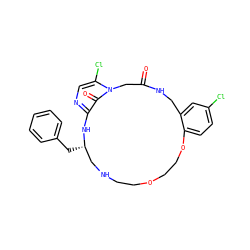 O=C1Cn2c(Cl)cnc(c2=O)N[C@@H](Cc2ccccc2)CNCCOCCOc2ccc(Cl)cc2CN1 ZINC000026665316