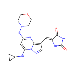 O=C1NC(=O)/C(=C/c2cnn3c(NC4CC4)cc(NN4CCOCC4)nc23)N1 ZINC000205013244