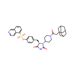 O=C1NC(=O)N(C2CCN(C(=O)CC34CC5CC(CC(C5)C3)C4)CC2)[C@@H]1Cc1ccc(OS(=O)(=O)c2cccc3cnccc23)cc1 ZINC000299861364