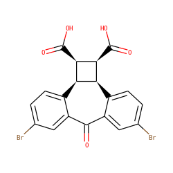 O=C1c2cc(Br)ccc2[C@@H]2[C@H](C(=O)O)[C@H](C(=O)O)[C@@H]2c2ccc(Br)cc21 ZINC000029211478