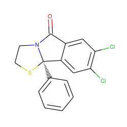 O=C1c2cc(Cl)c(Cl)cc2[C@@]2(c3ccccc3)SCCN12 ZINC000006582013
