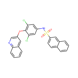 O=S(=O)(Nc1cc(Cl)c(Oc2cnc3ccccc3c2)c(Cl)c1)c1ccc2ccccc2c1 ZINC001772578510