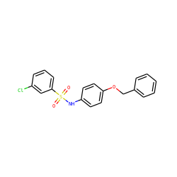 O=S(=O)(Nc1ccc(OCc2ccccc2)cc1)c1cccc(Cl)c1 ZINC000039975121