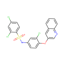 O=S(=O)(Nc1ccc(Oc2cnc3ccccc3c2)c(Cl)c1)c1ccc(Cl)cc1Cl ZINC000095588723