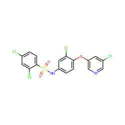 O=S(=O)(Nc1ccc(Oc2cncc(Cl)c2)c(Cl)c1)c1ccc(Cl)cc1Cl ZINC000095590203