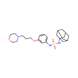 O=S(=O)(Nc1cccc(OCCCN2CCOCC2)c1)NC12CC3CC(CC(C3)C1)C2 ZINC000040862505