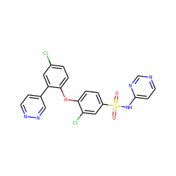 O=S(=O)(Nc1ccncn1)c1ccc(Oc2ccc(Cl)cc2-c2ccnnc2)c(Cl)c1 ZINC000095581523