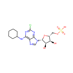 O=S(=O)(O)OC[C@H]1O[C@@H](n2cnc3c(NC4CCCCC4)nc(Cl)nc32)[C@H](O)[C@@H]1O ZINC000096167349