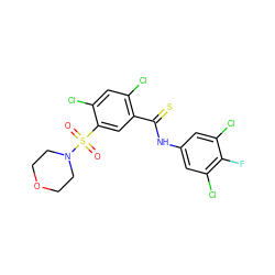 O=S(=O)(c1cc(C(=S)Nc2cc(Cl)c(F)c(Cl)c2)c(Cl)cc1Cl)N1CCOCC1 ZINC001772574106