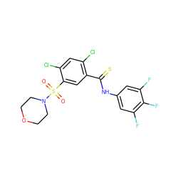O=S(=O)(c1cc(C(=S)Nc2cc(F)c(F)c(F)c2)c(Cl)cc1Cl)N1CCOCC1 ZINC001772633209