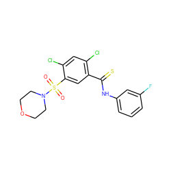 O=S(=O)(c1cc(C(=S)Nc2cccc(F)c2)c(Cl)cc1Cl)N1CCOCC1 ZINC001772619994