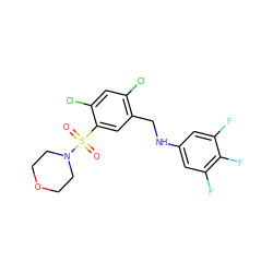 O=S(=O)(c1cc(CNc2cc(F)c(F)c(F)c2)c(Cl)cc1Cl)N1CCOCC1 ZINC001772580645