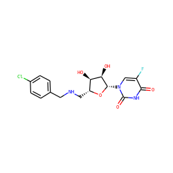 O=c1[nH]c(=O)n([C@@H]2O[C@H](CNCc3ccc(Cl)cc3)[C@@H](O)[C@H]2O)cc1F ZINC000066103920
