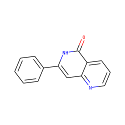 O=c1[nH]c(-c2ccccc2)cc2ncccc12 ZINC000034349508