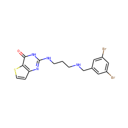 O=c1[nH]c(NCCCNCc2cc(Br)cc(Br)c2)nc2ccsc12 ZINC000028367022