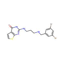 O=c1[nH]c(NCCCNCc2cc(Br)cc(Br)c2)nc2sccc12 ZINC000028360993
